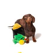 Midlee Hide-A-Toy Pot of Gold St. Patrick's Day Interactive Dog Toy - Fun Puzzle Game for Dogs with Treat Dispenser - Perfect for Training, Playtime & Irish Themed Pet Parties