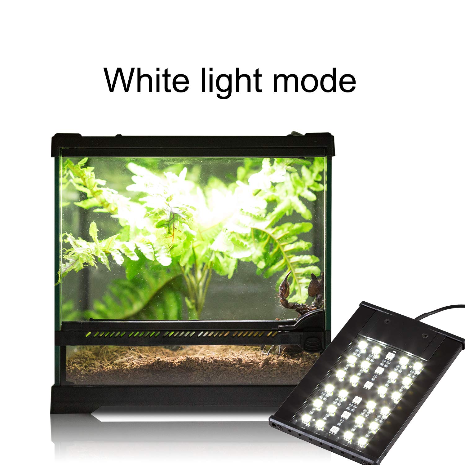 REPTI ZOO Reptile LED Terrarium Light - Day & Night Mode with White & Blue Light for Lizards, Snakes, Geckos - Perfect for Desert & Tropical Habitats