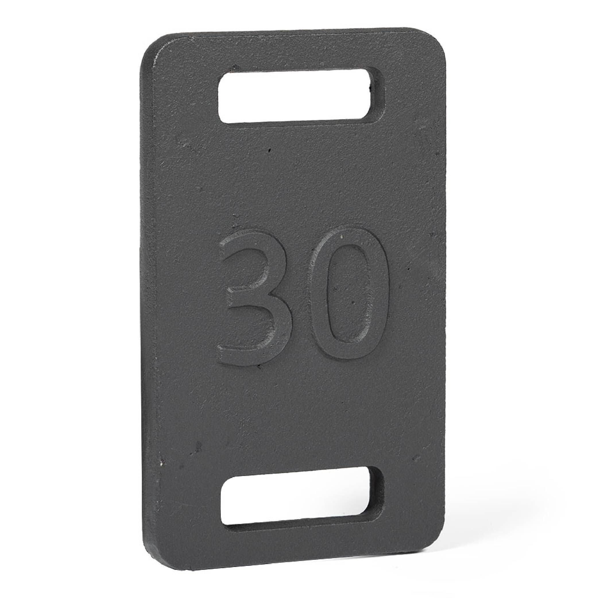 Titan Fitness Cast Iron Ruck Weight Plate - Single Wide Handle for Strength Training | Smooth Round Corners for Comfort | Perfect for Backpack Weight Training, Posture Stability & Resistance Workouts | Ideal for Home Gym, CrossFit & Outdoor Fitness