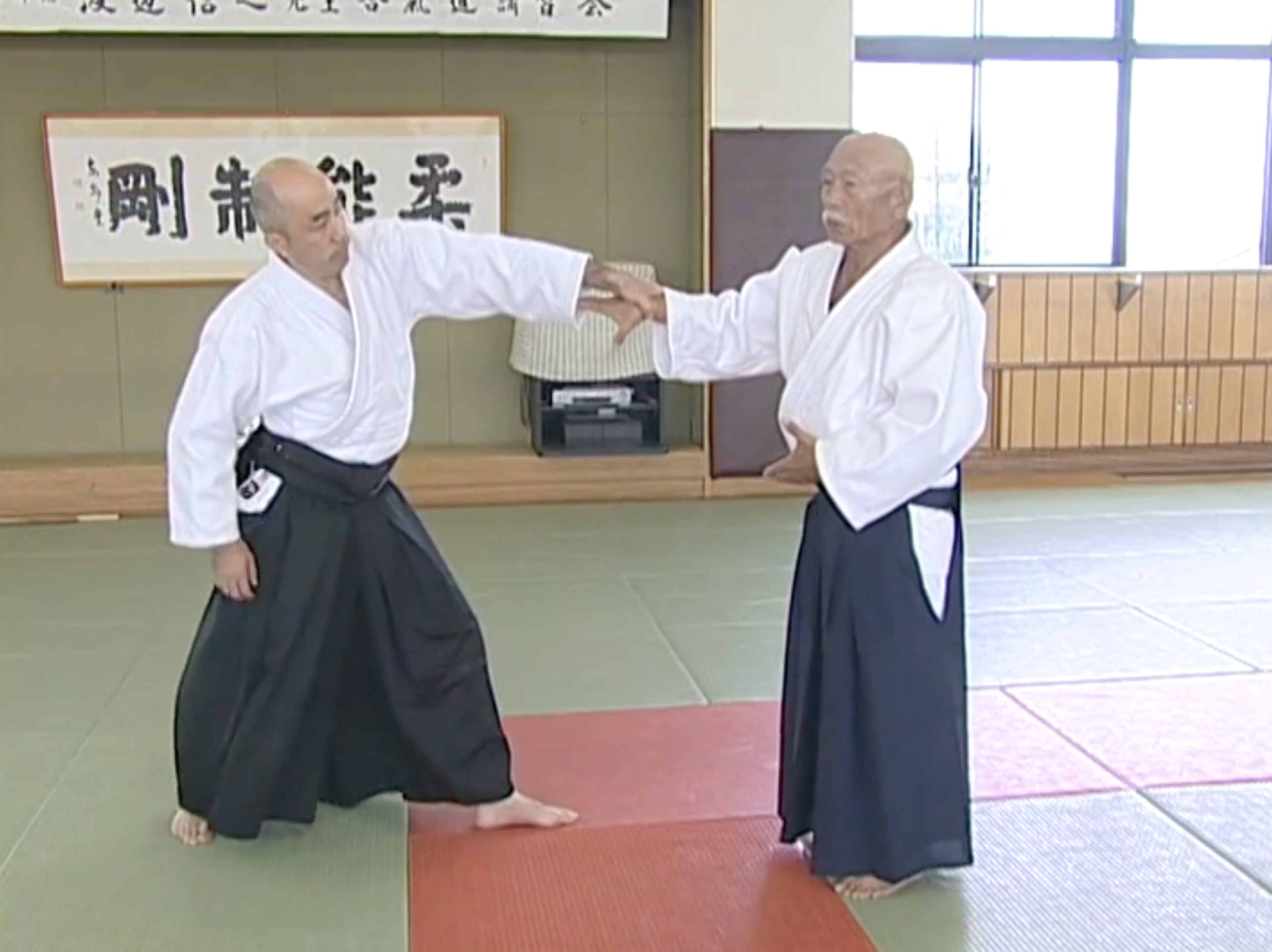 Nobuyuki Watanabe Aikido Training DVD - August 2004 Edition (Used) | Martial Arts Instructional Video for Self-Defense & Fitness
