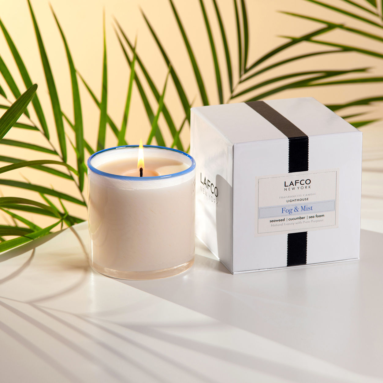 Premium Fog and Mist Scented Soy Wax Candle - Long Lasting Aromatherapy for Relaxation & Home Decor - Perfect for Bedroom, Bathroom & Living Room