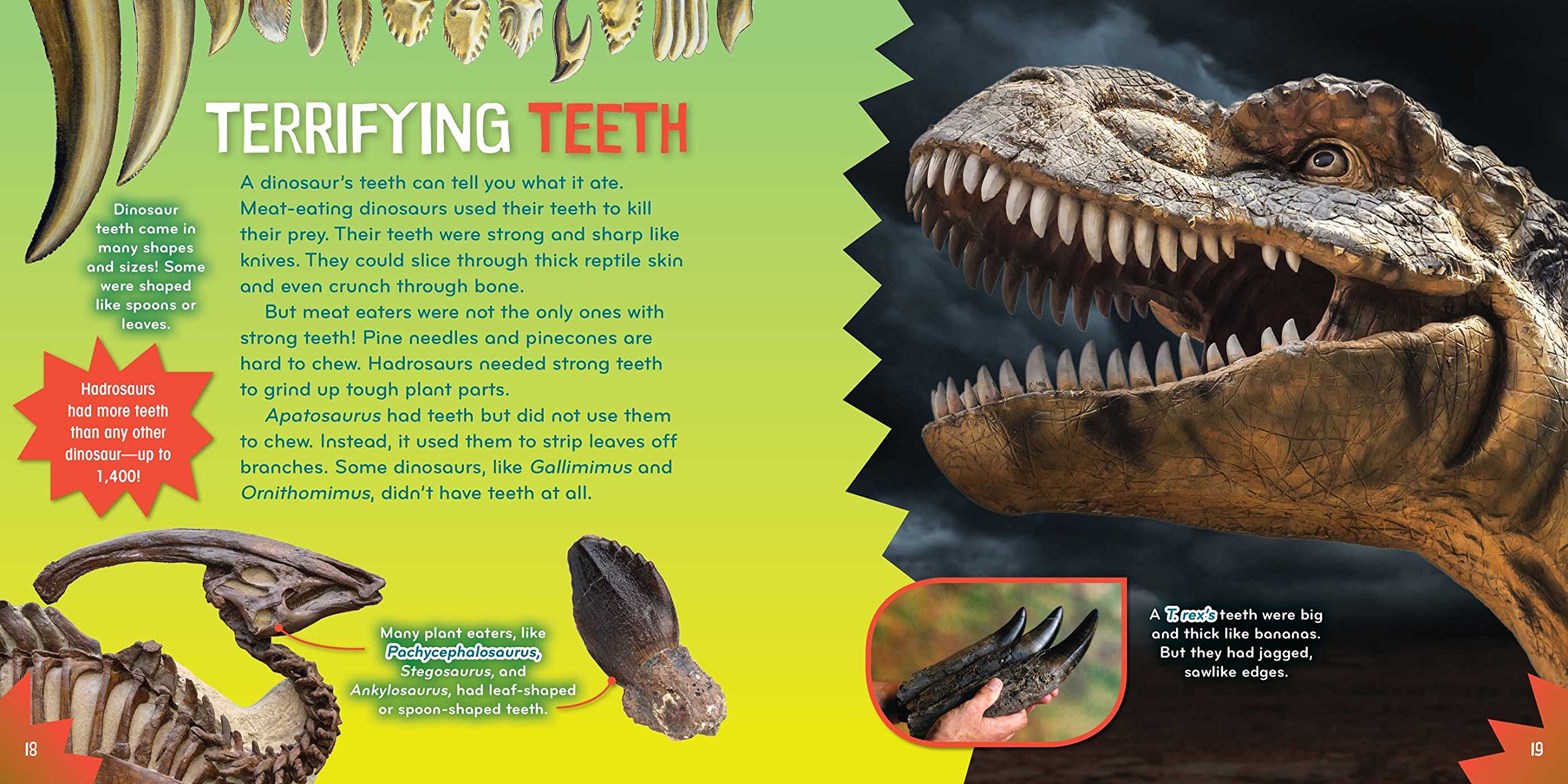 Dino-mite! (7) Science with Stuff - Fun Educational Science Kit for Kids, Perfect for Homeschooling & STEM Learning Activities