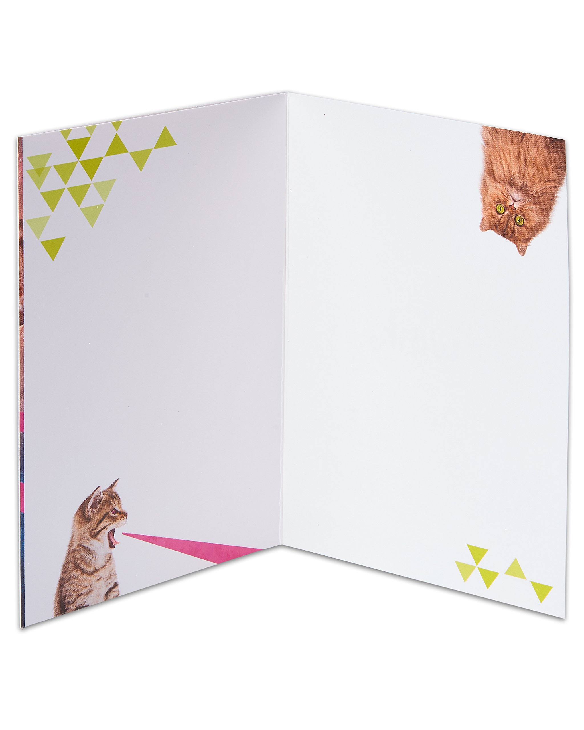 Funny Blank Greeting Card with Outer Space Laser Cats Design - Perfect for Birthdays, Anniversaries & Humorous Occasions