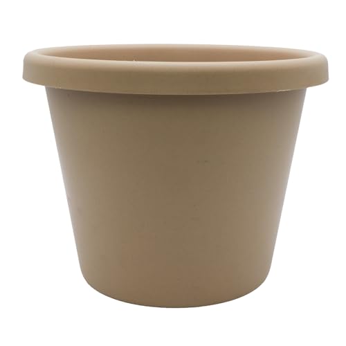 Sandstone