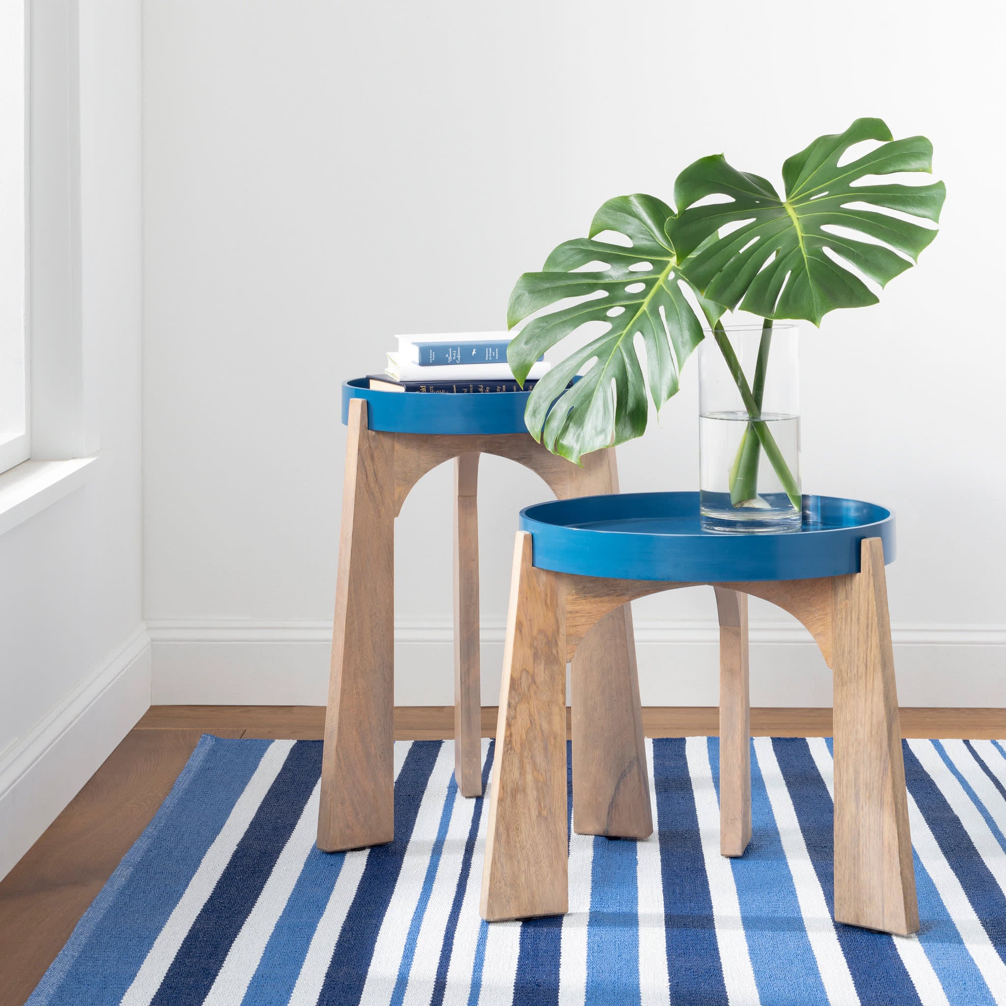 Charlie Stripe Handwoven Indoor/Outdoor Rug - Blue Cotton Area Rug for Living Room, Bedroom, Patio & Deck - Soft & Durable Home Decor