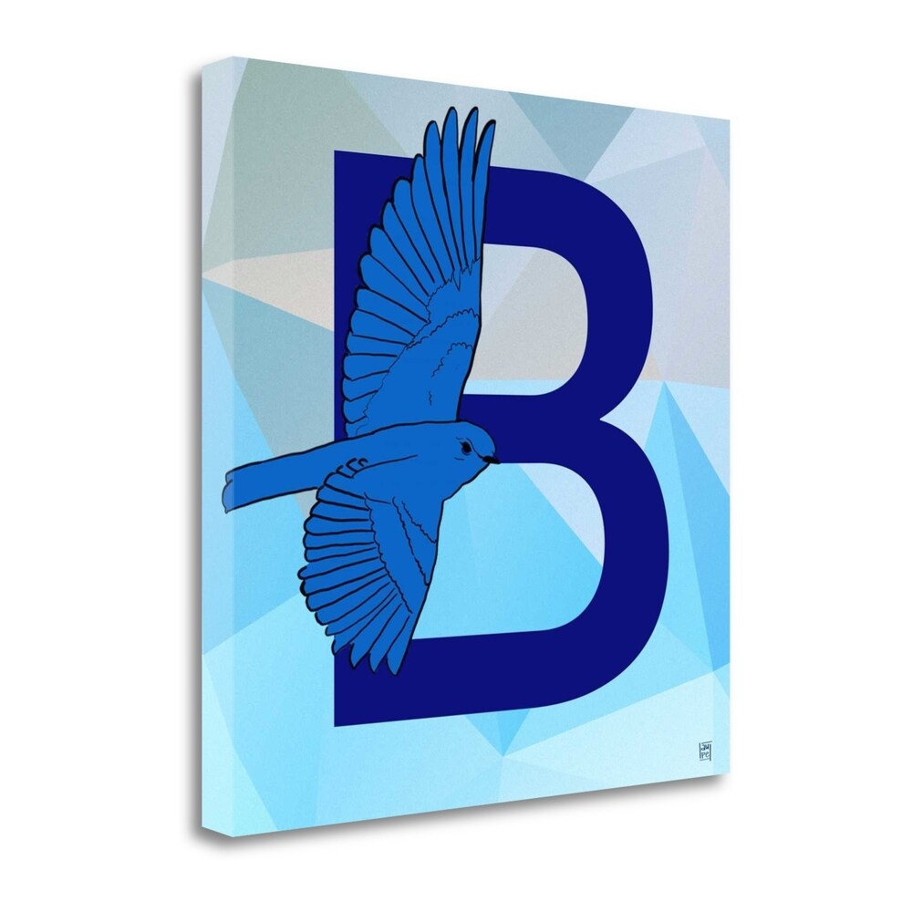 B By Aubree Perrenoud - Premium Fine Art Giclee Print on Gallery Wrapped Canvas - Ready to Hang Wall Decor for Living Room, Bedroom & Office
