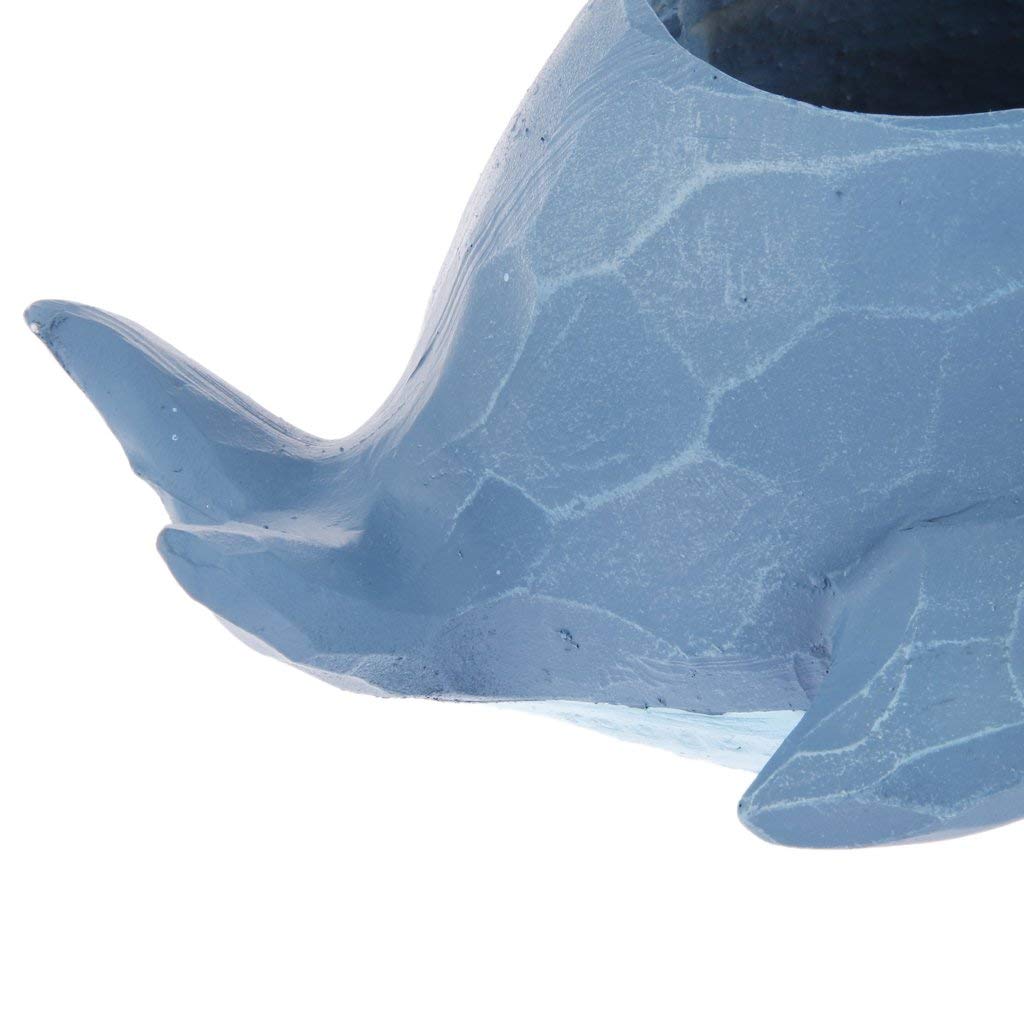 Whale Shaped Succulent Planter - Cactus Flower Pot for Sedum & Herbs, Decorative Table Trough Box for Home, Office, and Garden Decor - Perfect for Indoor Plants, Windowsills, and Gift Ideas
