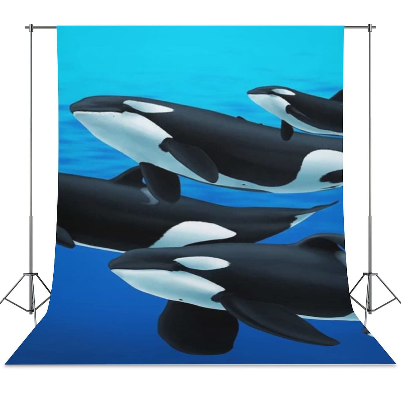 Orca Killer Whale Backdrop 56x79