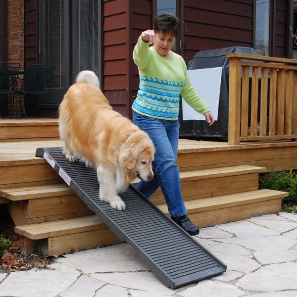 Original PetSTEP Folding Pet Ramp for Dogs & Cats - Lightweight Graphite Non-Slip Design - Perfect for Cars, SUVs, Beds & Couches