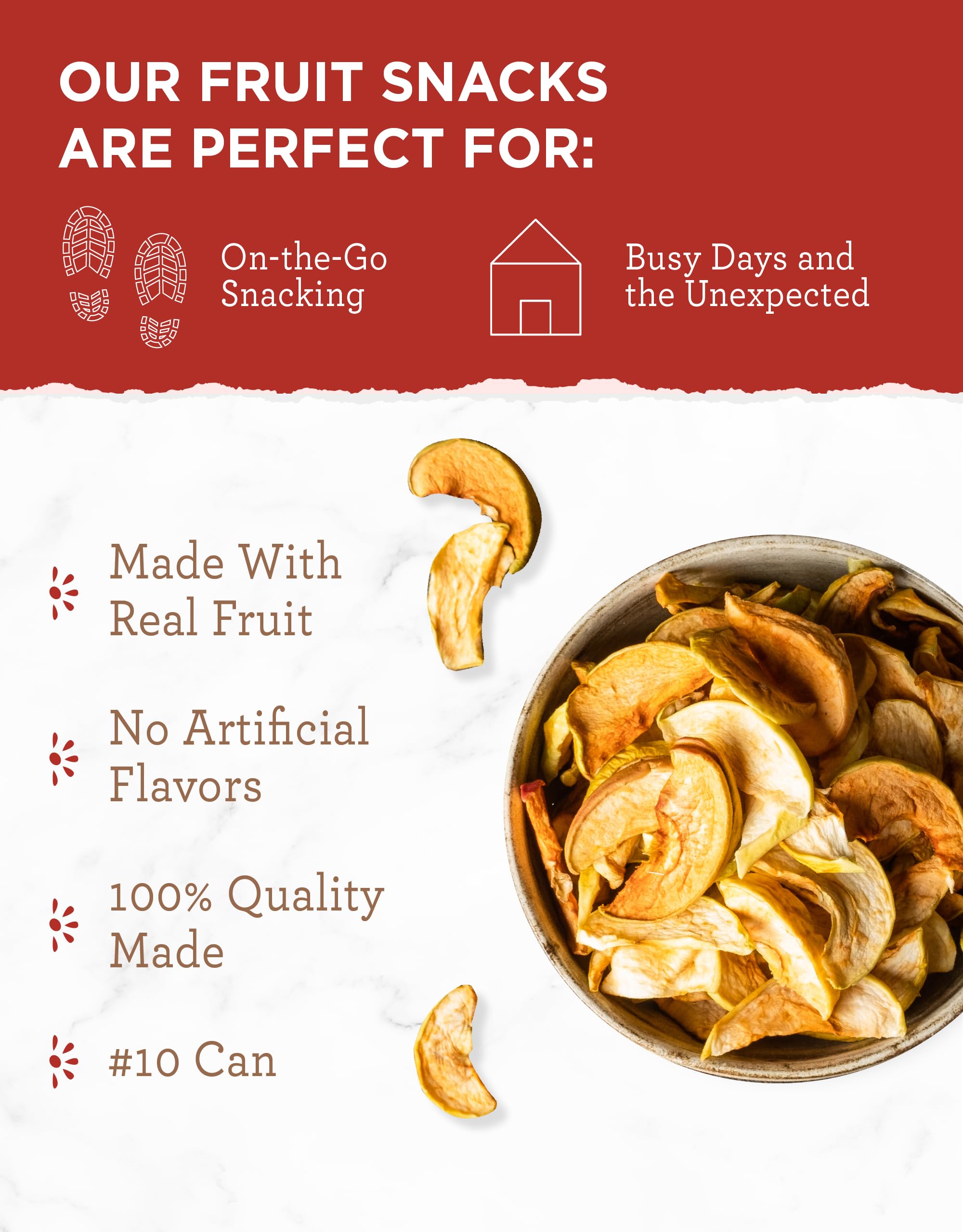 READYWISE Dried Apple Chips - 20 Servings, Vegan, Gluten-Free Healthy Fruit Snacks | #10 Can for Camping, Hiking, Emergency Food Storage & School Lunch Boxes