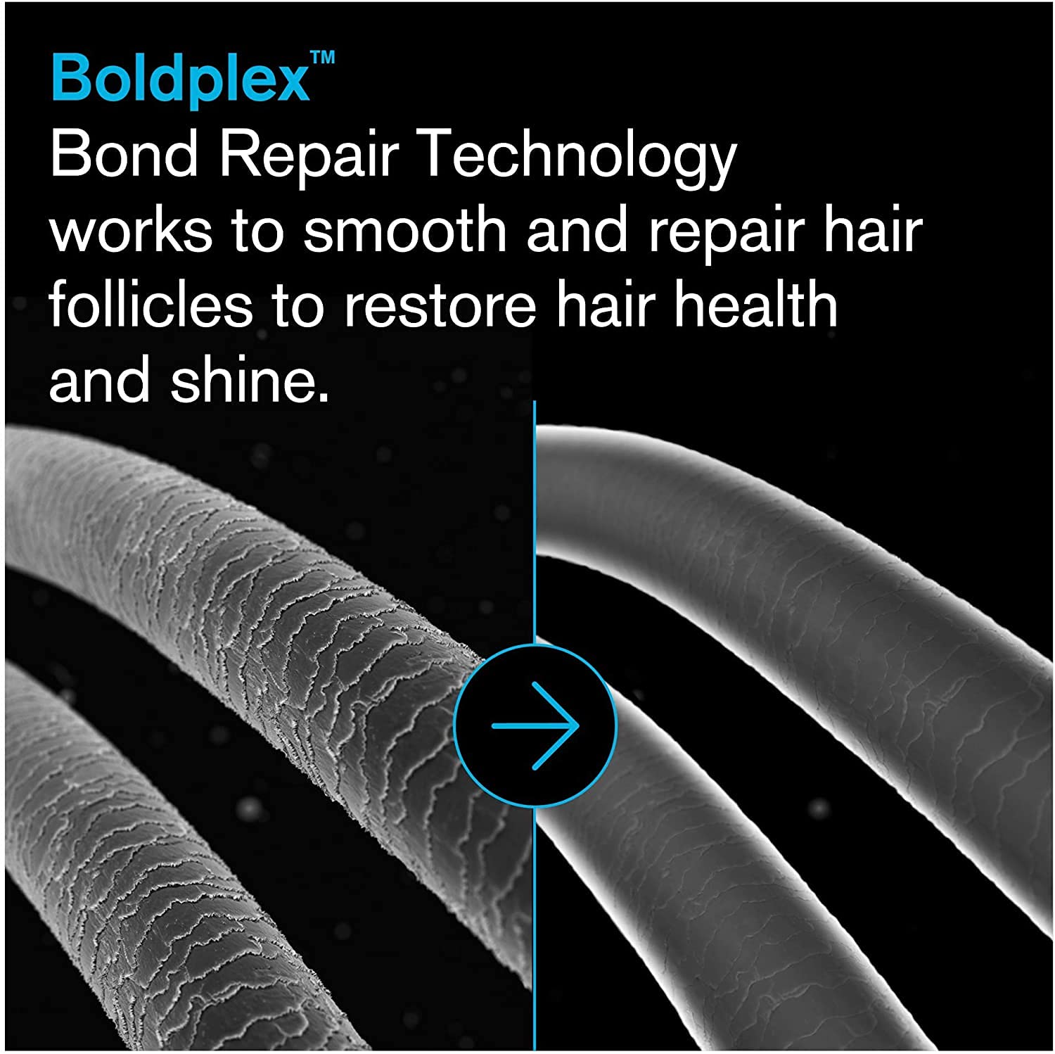 BoldPlex Complete Hair Care Set for Dry & Damaged Hair - Bond Repair Treatment, Shampoo, Conditioner, Serum & Oil - Hydrating & Protective Hair Therapy for Salon-Quality Results at Home | Perfect for Daily Use & Post-Color Treatment