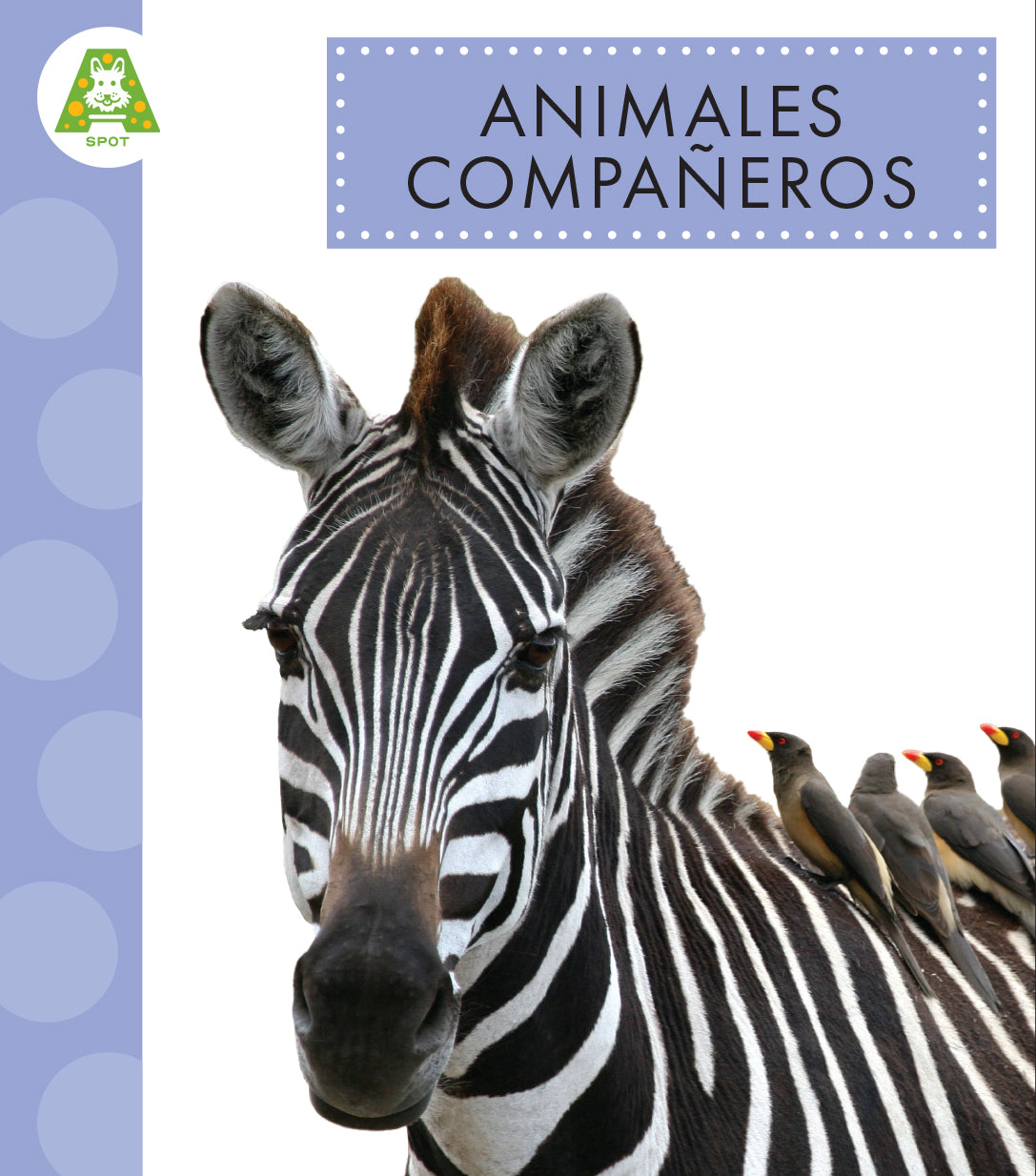 Best Pet Companions for Your Home - Cute and Friendly Animals for Kids & Families | Perfect for Playtime, Therapy & Emotional Support