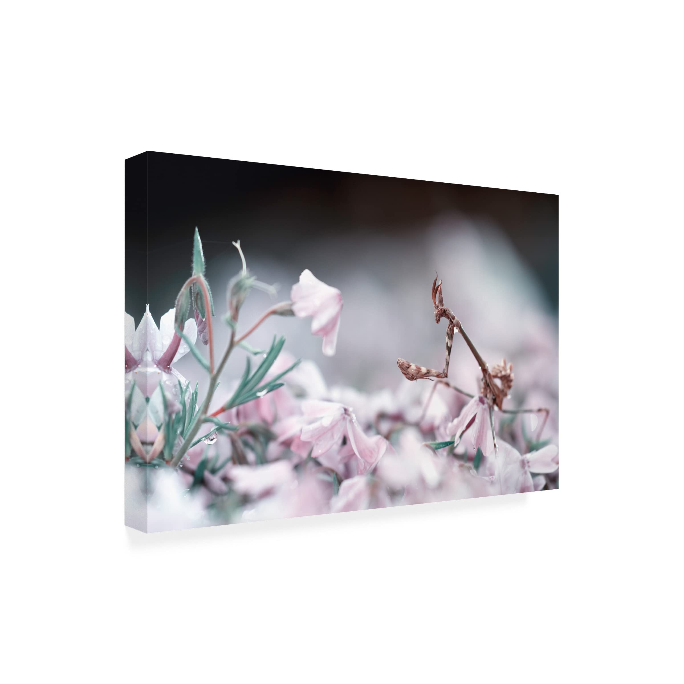 Fabien BRAVIN 'Girl Bedroom' Canvas Wall Art Print - Modern Home Decor for Kids Room, Nursery & Teen Bedroom - Perfect Gift for Girls