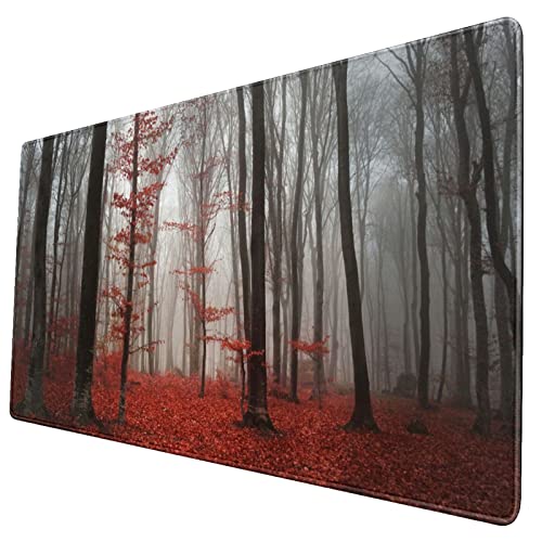 Beautiful Autumn Foggy Forest