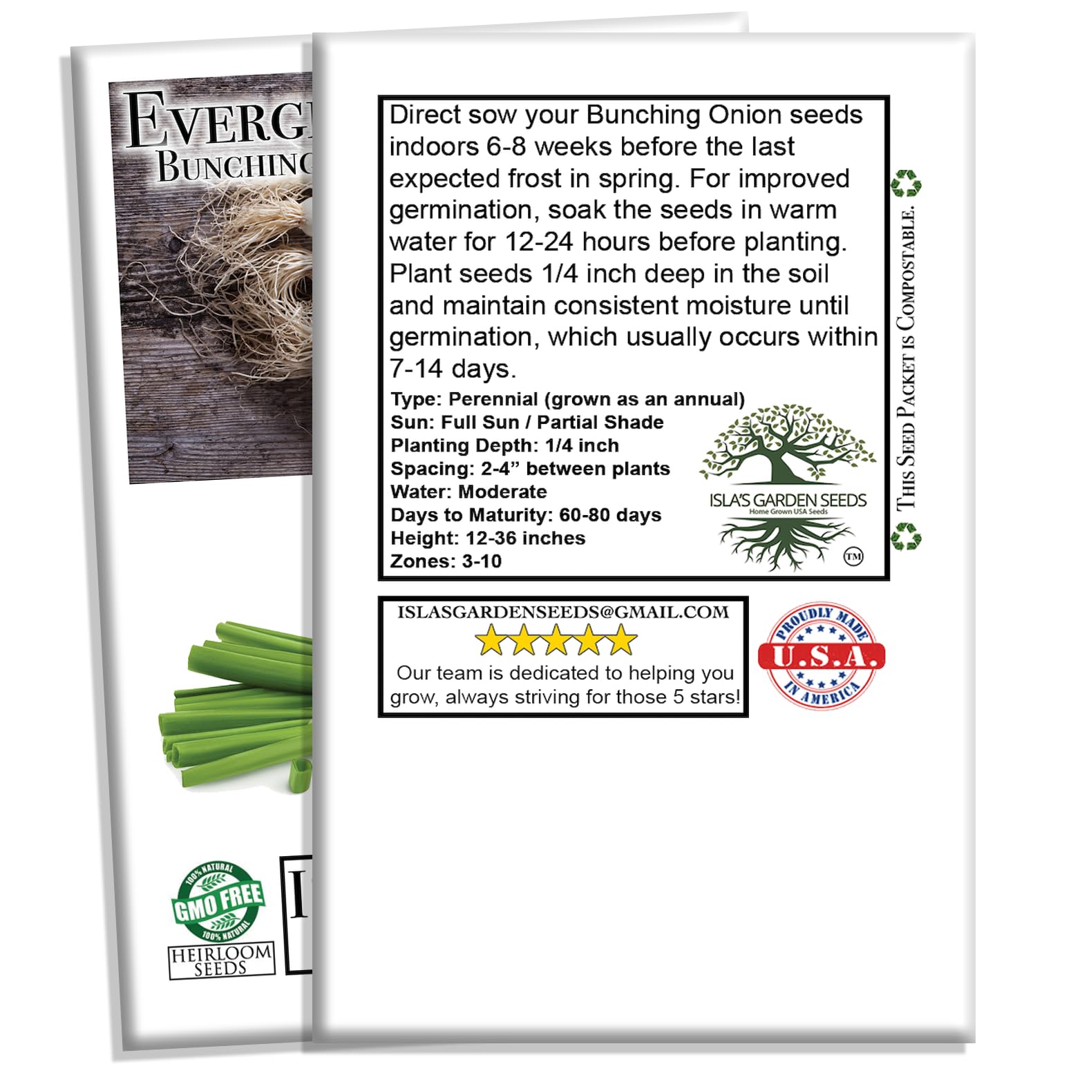 Evergreen Bunching Nebuka Onion Seeds for Planting - 500+ Heirloom Non-GMO Seeds (Allium fistulosum) by Isla's Garden Seeds - Perfect for Home Gardens, Urban Farming & Fresh Cooking