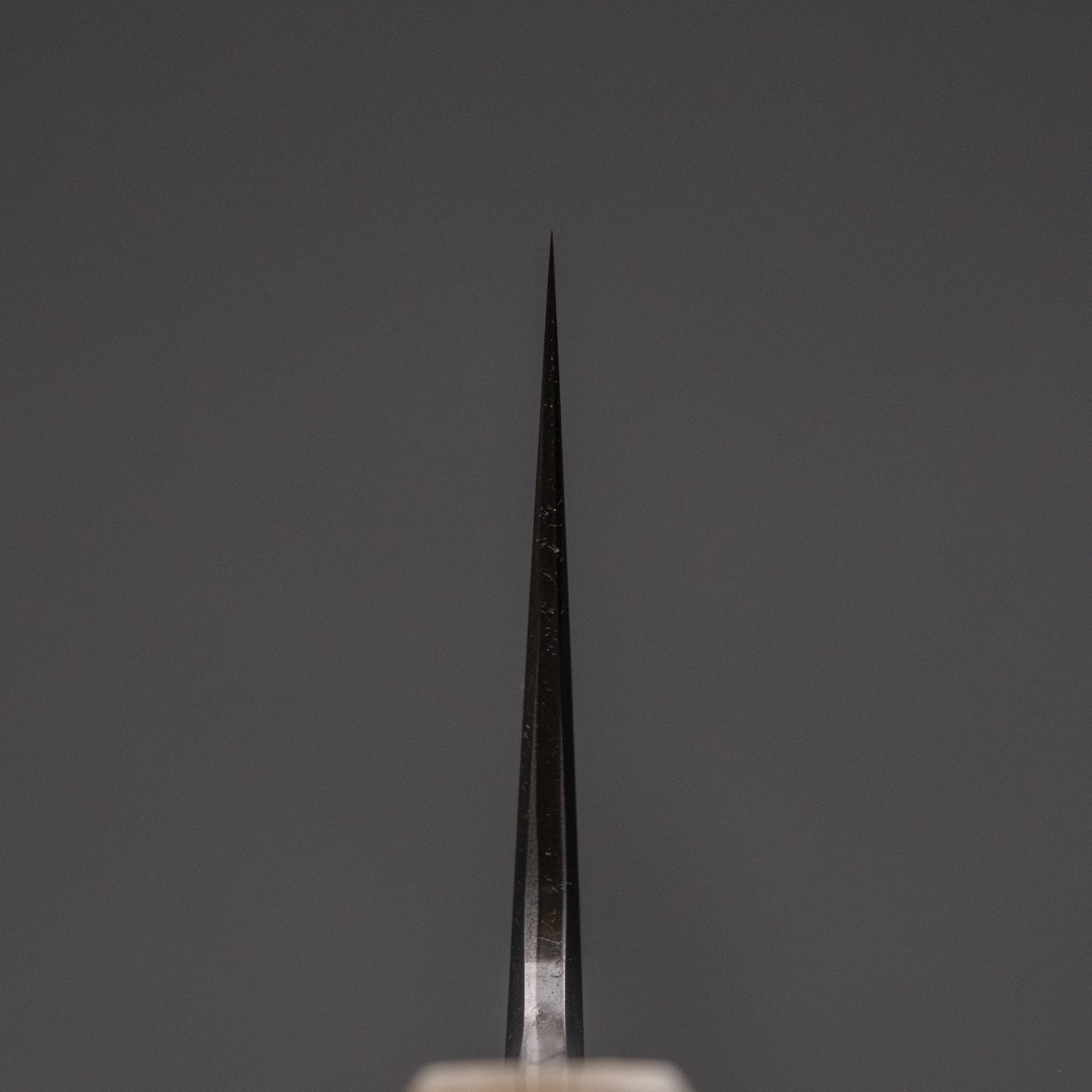 Premium Tetsujin Blue #2 Steel Gyuto Chef Knife 210mm with Taihei Rosewood Handle - Perfect for Sushi, Meat Slicing & Professional Kitchen Use