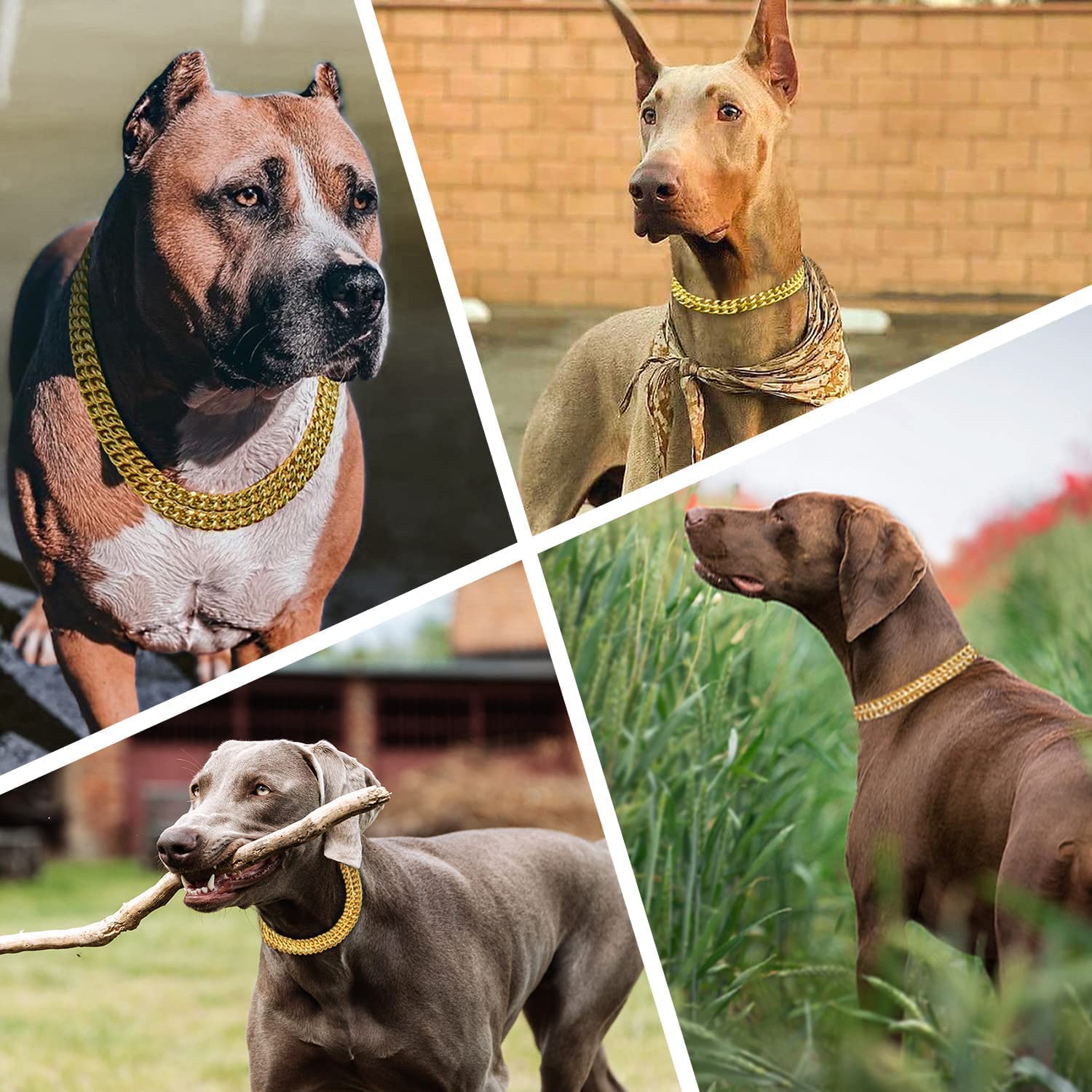 RvPaws 24-Inch Gold 2-Layer Dog Choke Chain Collar - Martingale Training Collar for Large Dogs | Perfect for Obedience Training, Walking & Grooming