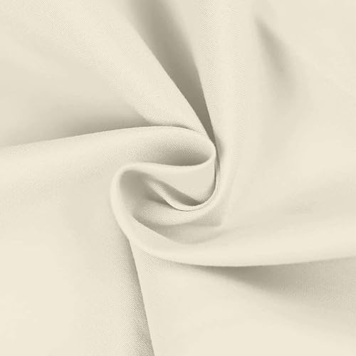 Ivory Solid