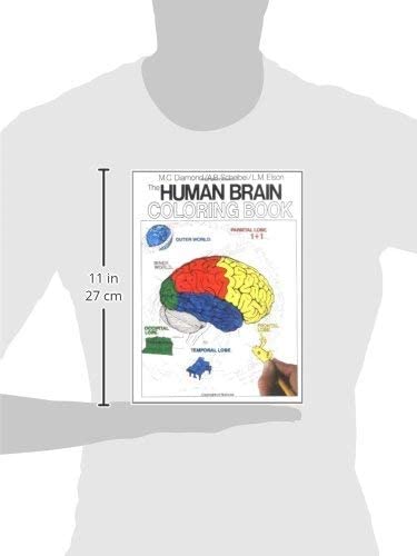 The Human Brain Coloring Book: Neuroscience Educational Coloring Guide for Students & Adults | Perfect for Anatomy Study, Stress Relief & Creative Learning