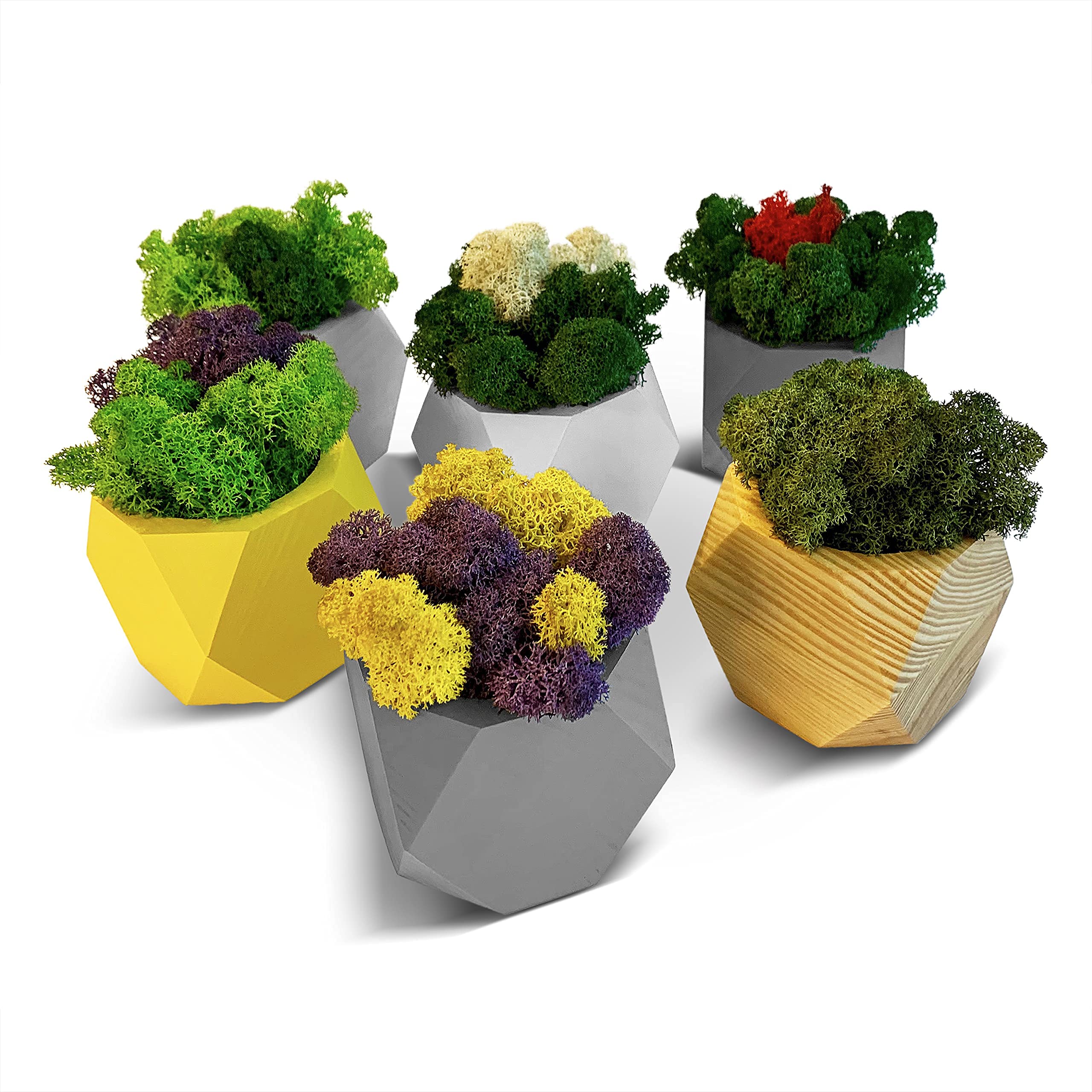 Natural Wooden Succulent Planter - Small Indoor Plant Pot for Succulents, Faux Plants, Preserved Moss & Flowers - Perfect for Home Decor, Office Desk & Gift Ideas