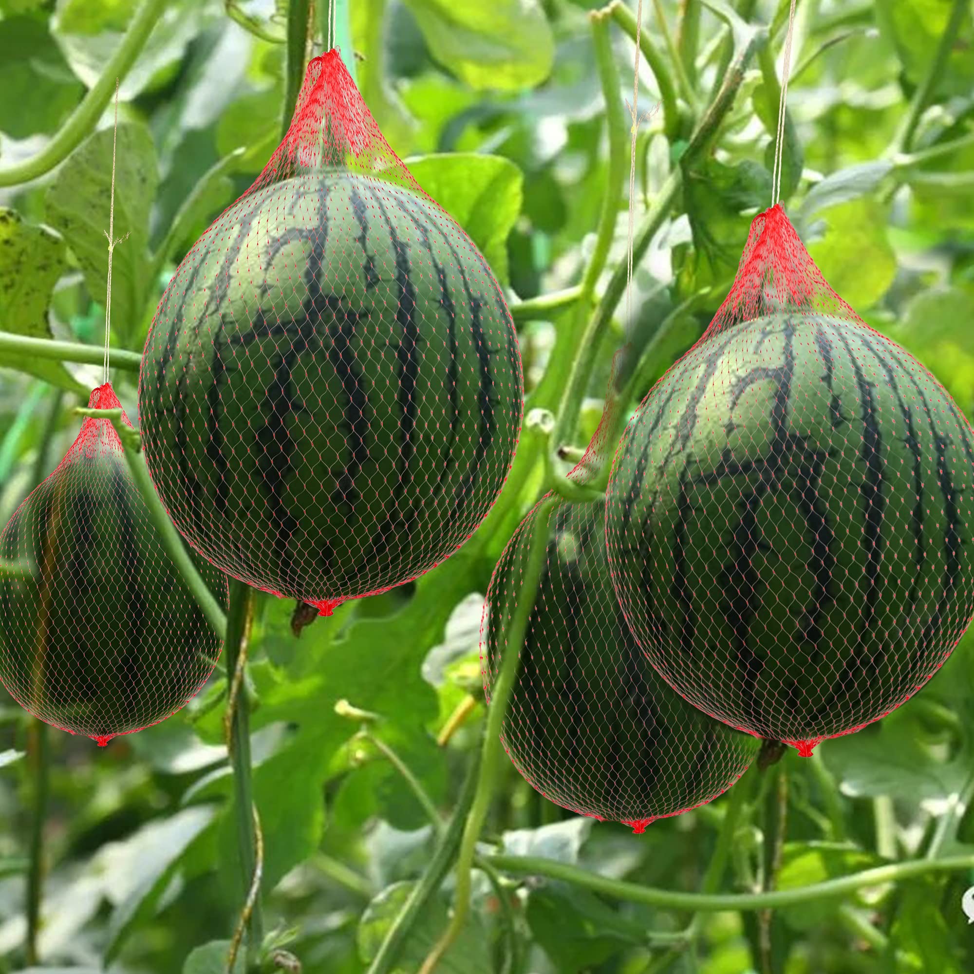 RONRONS 100-Pack Reusable Watermelon Hammocks - 15.75 Inch Mesh Fruit Support Bags for Cantaloupe, Honeydew & Garden Vegetables (Perfect for Growing, Storing & Protecting Melons & Cucumbers) - Ideal for Home Gardens, Greenhouses & Organic Farming