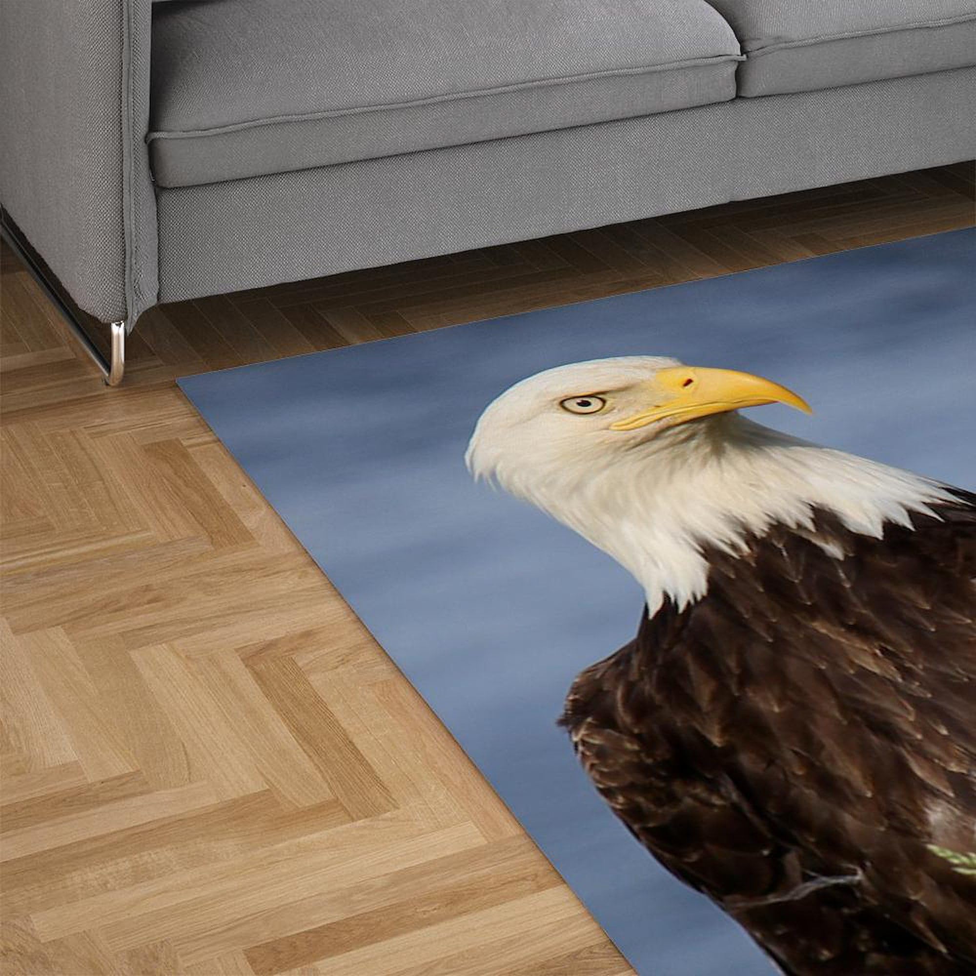 American Bald Eagle 3'X5' Decorative Area Rug - Patriotic Fabric Throw Rug for Living Room, Bedroom & Home Decor
