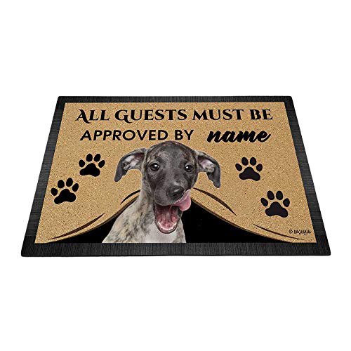 Whippet