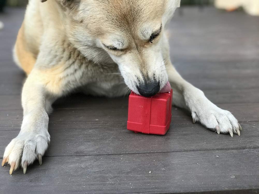 SodaPup Gift Box – Durable Dog Treat Dispenser & Chew Toy | Non-Toxic Natural Rubber | Made in USA | Mental Stimulation & Anxiety Relief for Dogs | Perfect for Training, Playtime & Travel