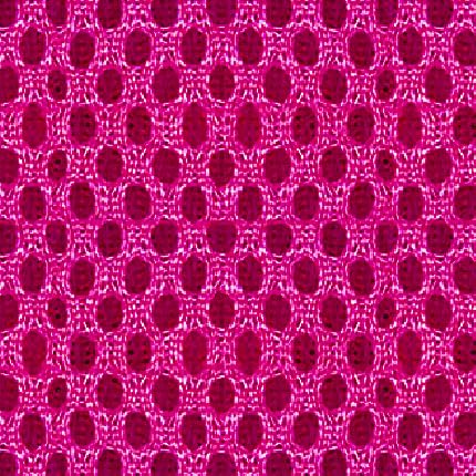 #1 Fuchisa(Basic Mesh)