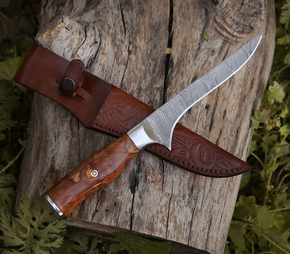 Premium Concord Damascus Fillet Knife with Exotic Olive Wood Handle - Sharp Fishing Knife for Filleting Fish, Slicing Meat & Outdoor Cooking - Perfect for Chefs, Anglers & Camping Enthusiasts