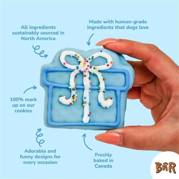 Bosco and Roxy Birthday Party Supplies | Drizzle & Fetti Donut Decorations for Kids Celebrations - Perfect for Birthday Parties, Baby Showers & Special Events
