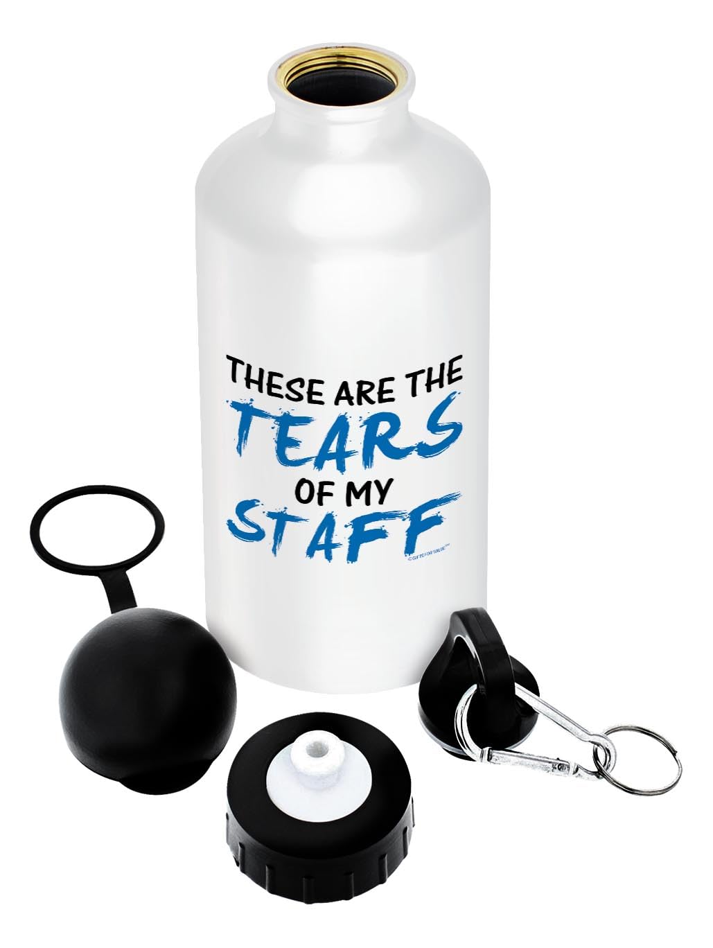 Funny Boss Gifts for Women - Aluminum Water Bottle with Cap & Sport Top (White) - Humorous Coworker Gag Gift for Birthday, Boss Day & Office Pranks - Perfect for Workplace Jokes, Appreciation Gifts & Staff Motivation