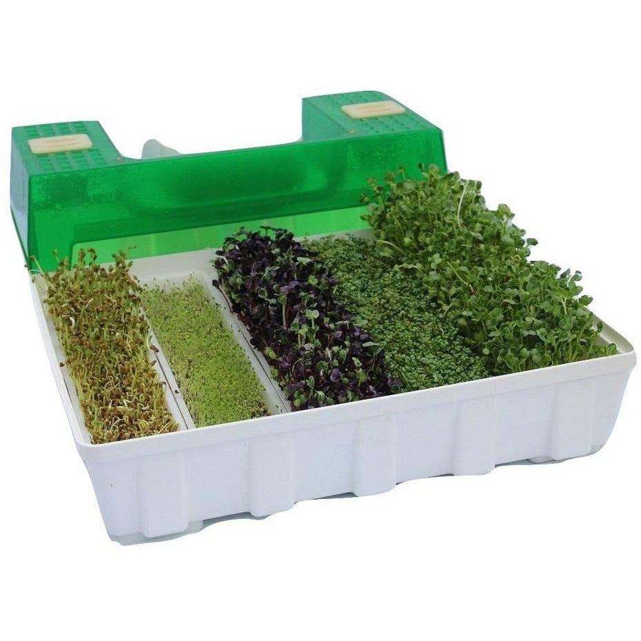 EasyGreen Light Auto Misting Sprouter EGL 50 - Indoor Hydroponic Gardening System for Microgreens, Wheatgrass & Sprouts | Perfect for Home Kitchen, Organic Farming & Healthy Eating