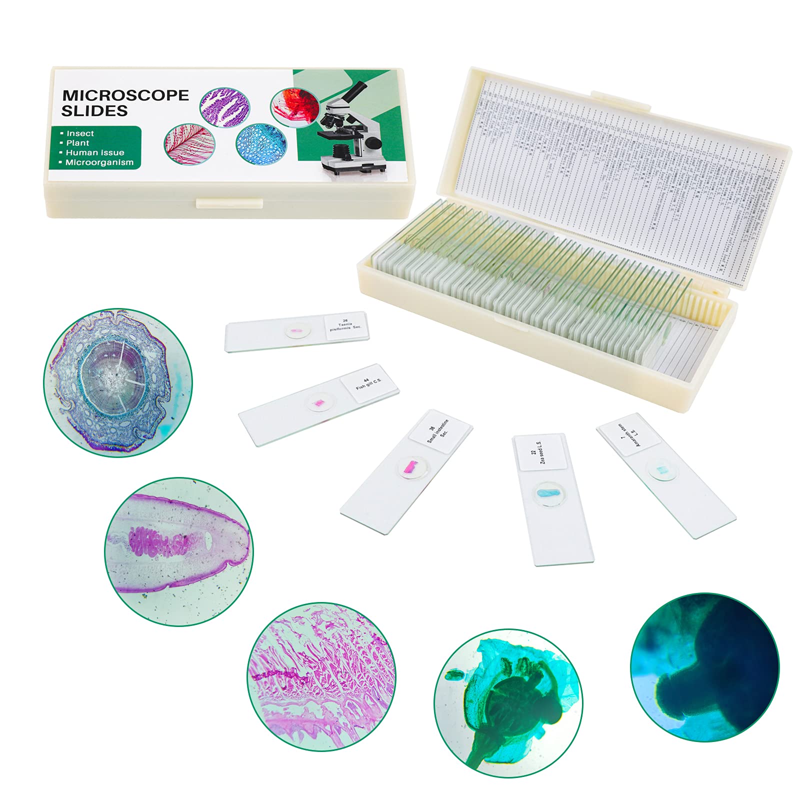 50 Prepared Microscope Slides with Specimens for Kids & Students - Plants, Insects, Fish, Animals & Human Tissue Samples | Biological Science Lab, Homeschool & Classroom Education | Perfect for STEM Learning & Science Experiments