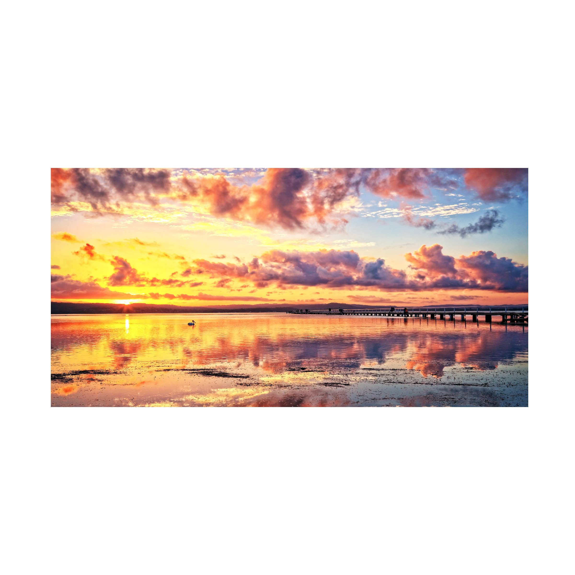 Trademark Fine Art 'Tonight's Show' Canvas Wall Art by Beata Czyzowska - Modern Home Decor for Living Room & Bedroom