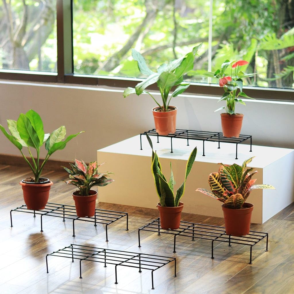 TrustBasket Indigo Plant Stands for Indoor Plants - Set of 4 Modern Decorative Flower Pot Holders for Home, Office & Garden Decor