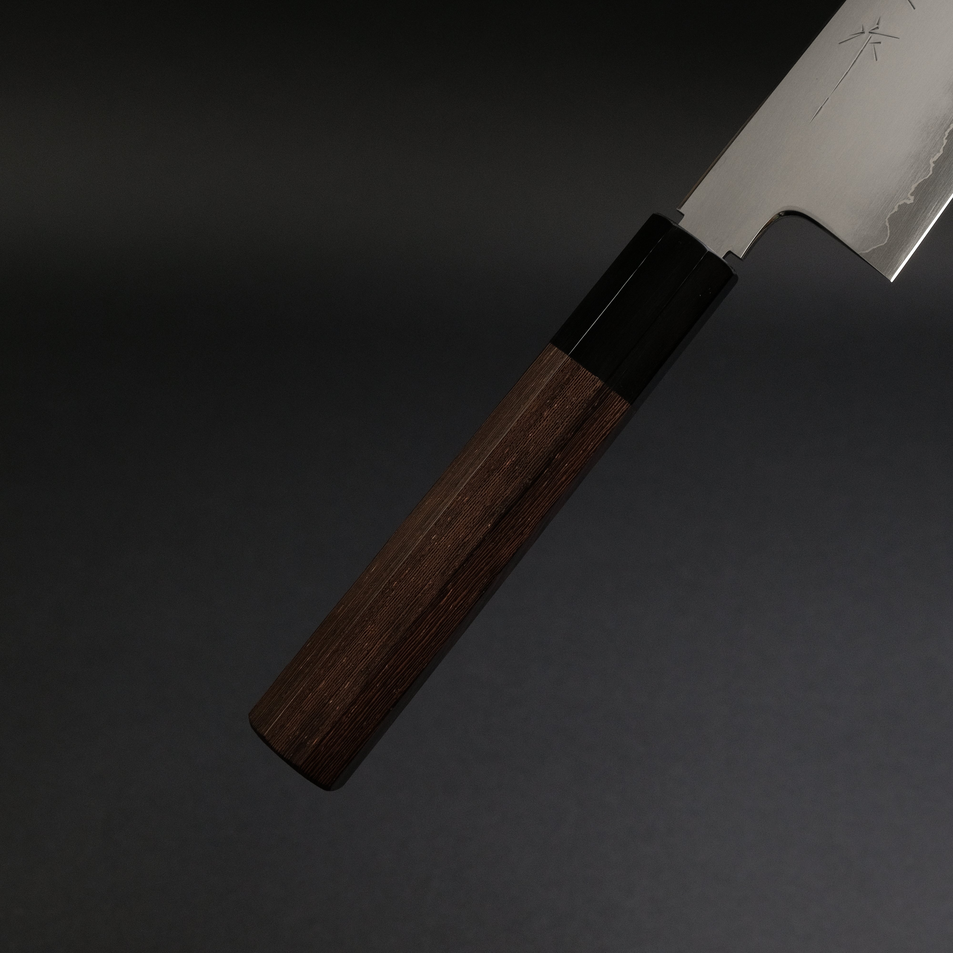 Premium Tetsujin Silver #3 Kasumi Gyuto 210mm Japanese Chef Knife with Taihei Tagayasan Handle - Perfect for Sushi, Meat Slicing & Professional Kitchen Use
