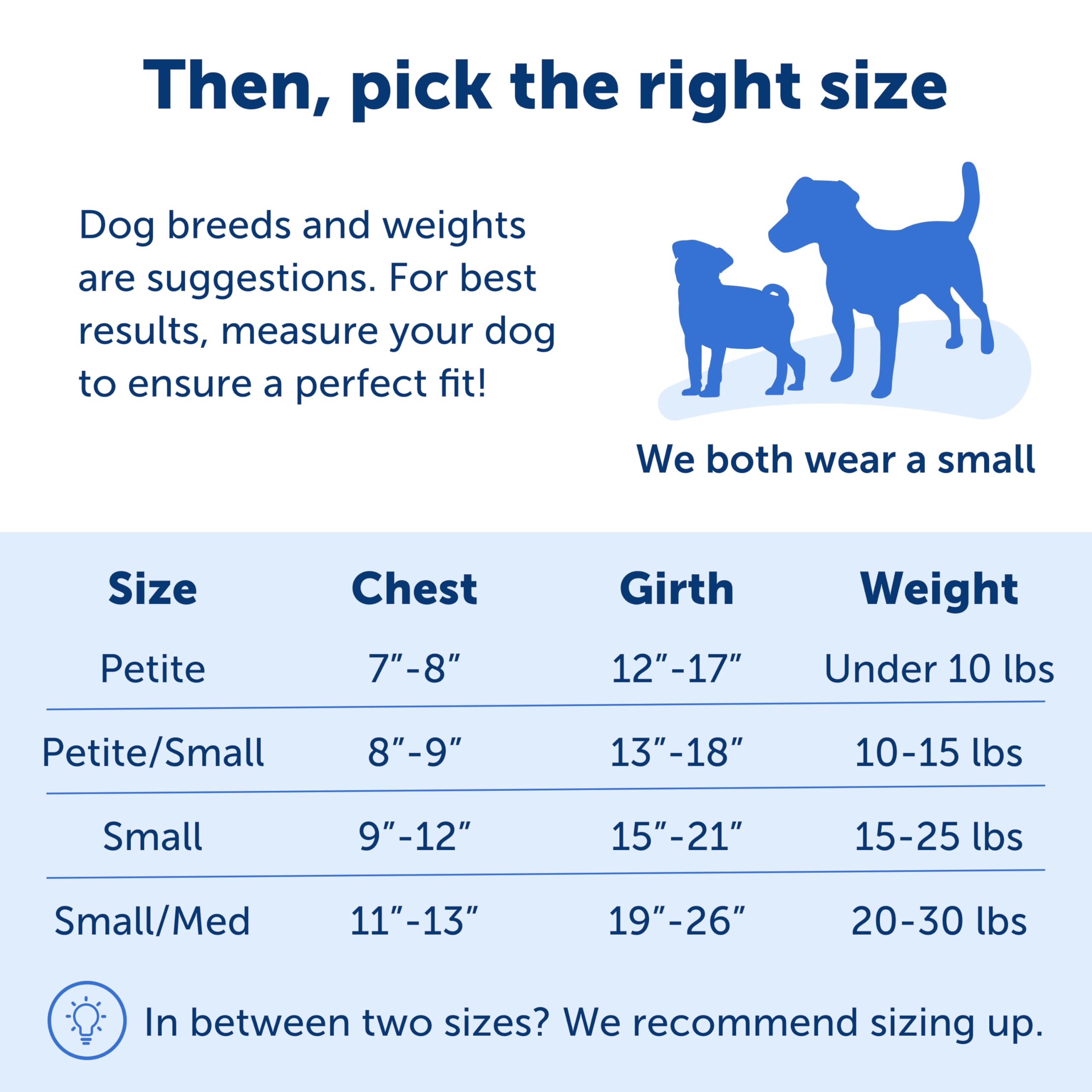 PetSafe Easy Walk No-Pull Dog Harness - Stop Pulling & Improve Leash Training - Comfortable Control for Small Dogs - Royal Blue/Navy Blue - Perfect for Walks, Hiking & Outdoor Adventures