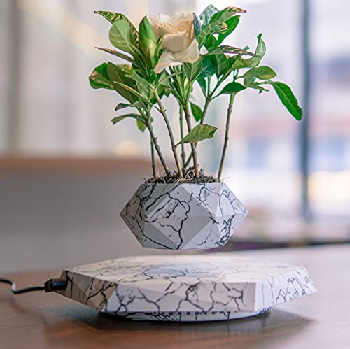 Marble Color