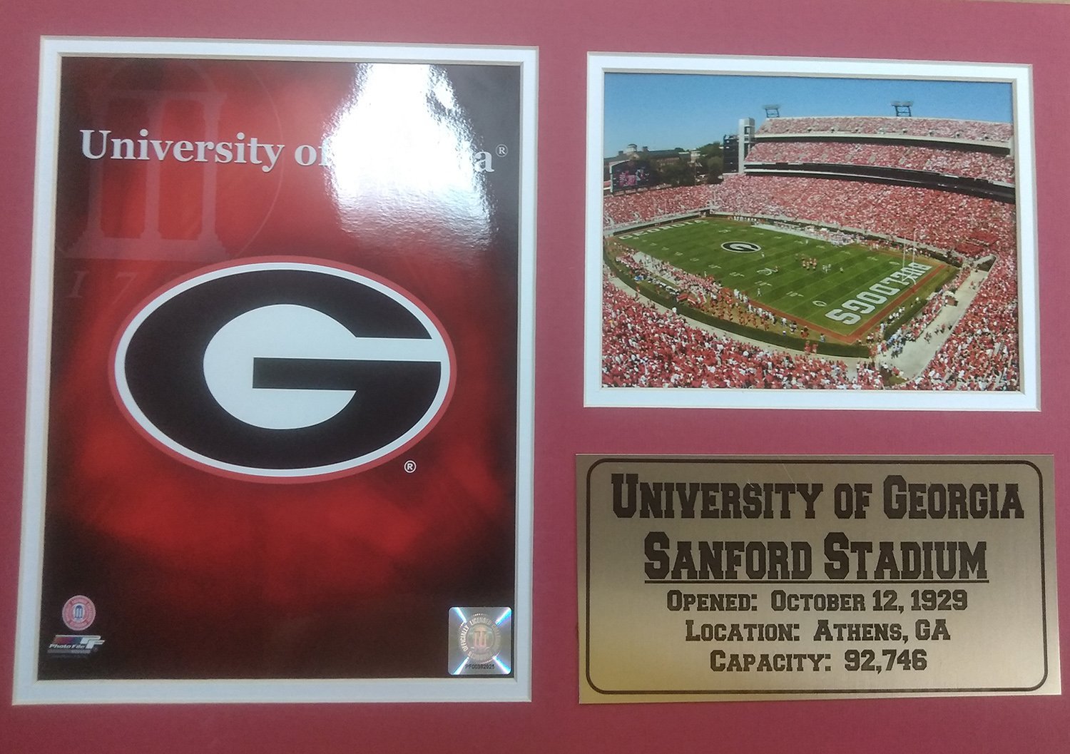 NCAA Unisex Sports Memorabilia - Authentic College Team Collectibles for Fans & Alumni | Perfect for Game Day, Man Cave Decor & Gift Giving