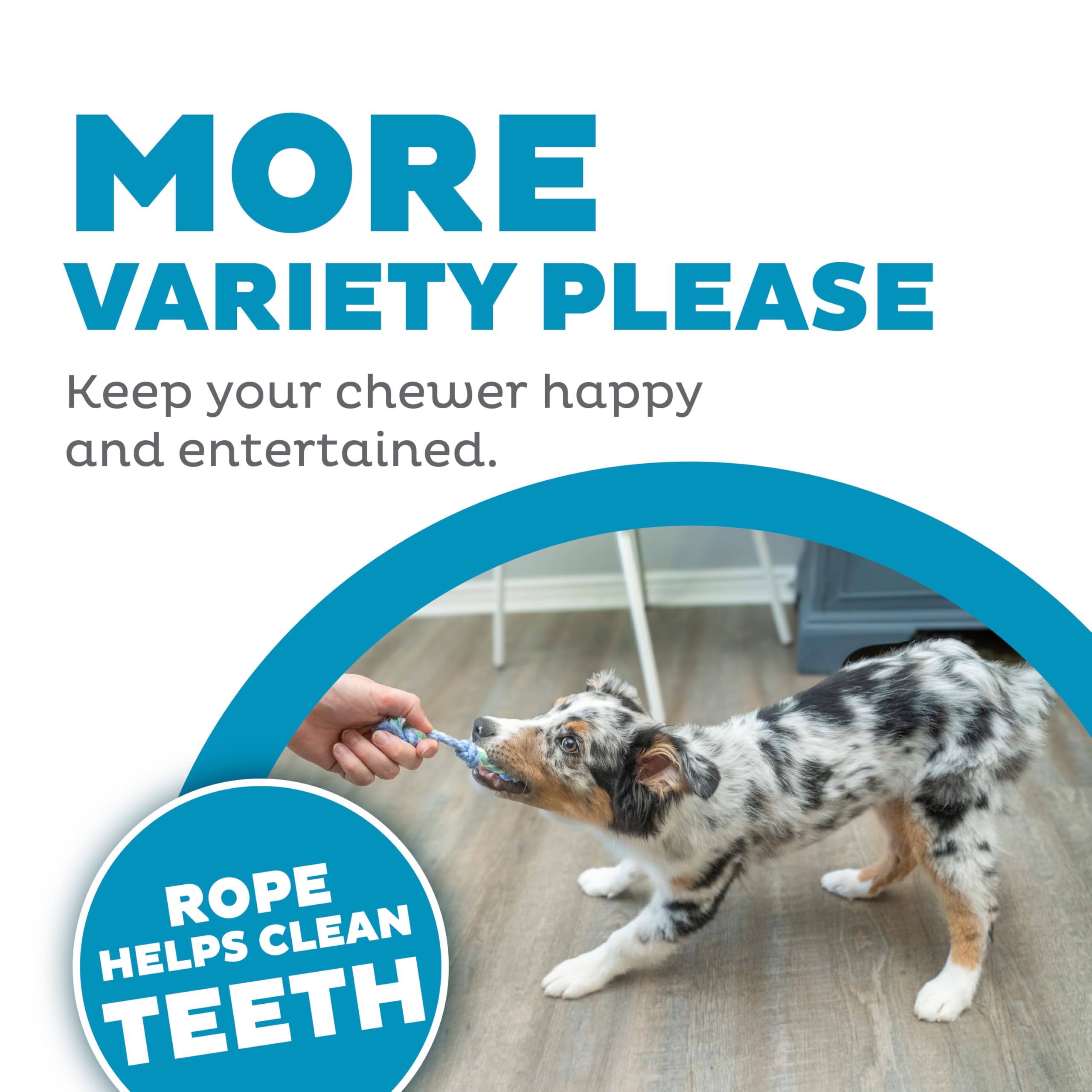 Outward Hound Mini Dentachew Dental Dog Chew Toy for Small Dogs & Puppies - 3 Pack | Promotes Oral Health & Clean Teeth - Perfect for Teething, Training, and Playtime at Home or Outdoors