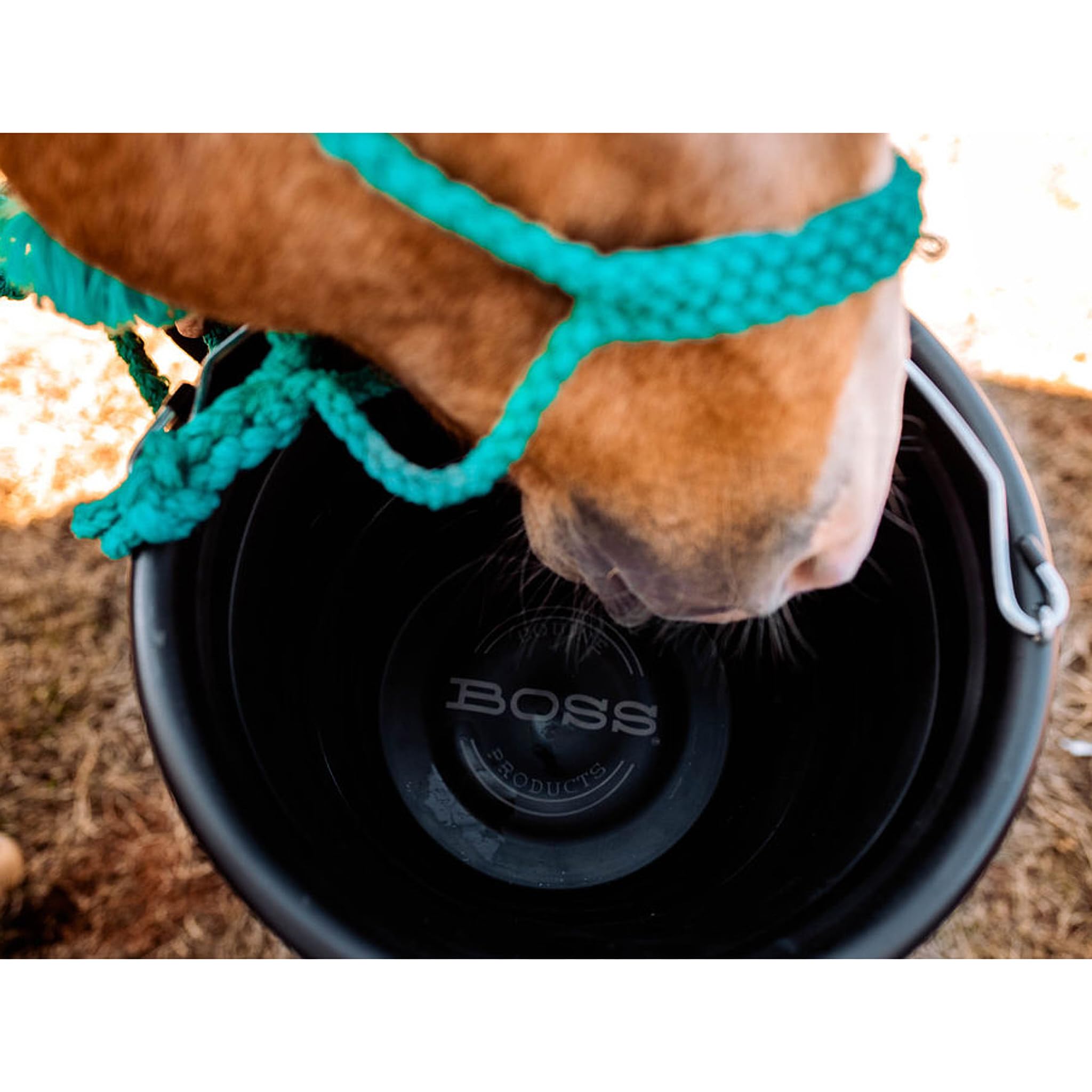 Boss Bucket - Premium Turquoise Bucket for Outdoor, Camping, and Beach Activities - Durable & Stylish Water Container