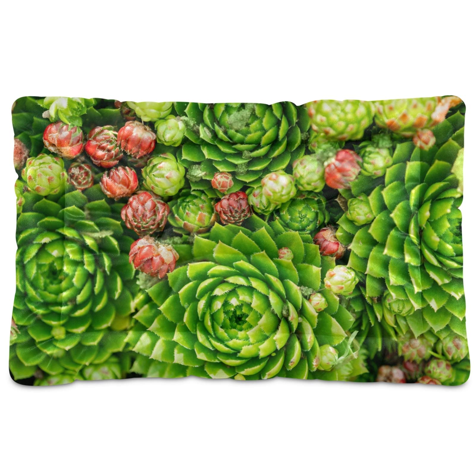 KEEPREAL Succulents Pattern Pet Bed - Ultra Soft Rectangle Dog & Cat Bed for Small to Medium Pets (24x18 Inch) - Calming Comfort Bed for Puppies, Kittens, and Adult Pets - Perfect for Living Room, Bedroom, or Pet Nursery