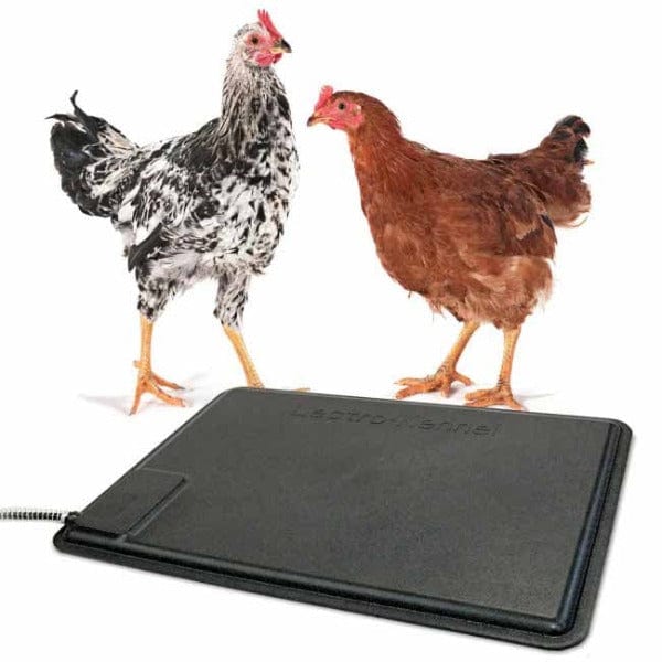 K&H Thermo Chicken Heated Pad - Self-Warming Pet Heating Pad for Chickens, Ducks & Small Animals - Winter Coop Heater with Thermostat Control - Perfect for Poultry Coops, Brooders & Outdoor Shelters