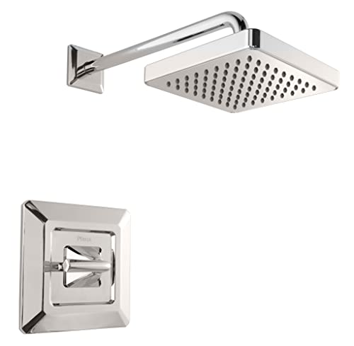 Polished Nickel