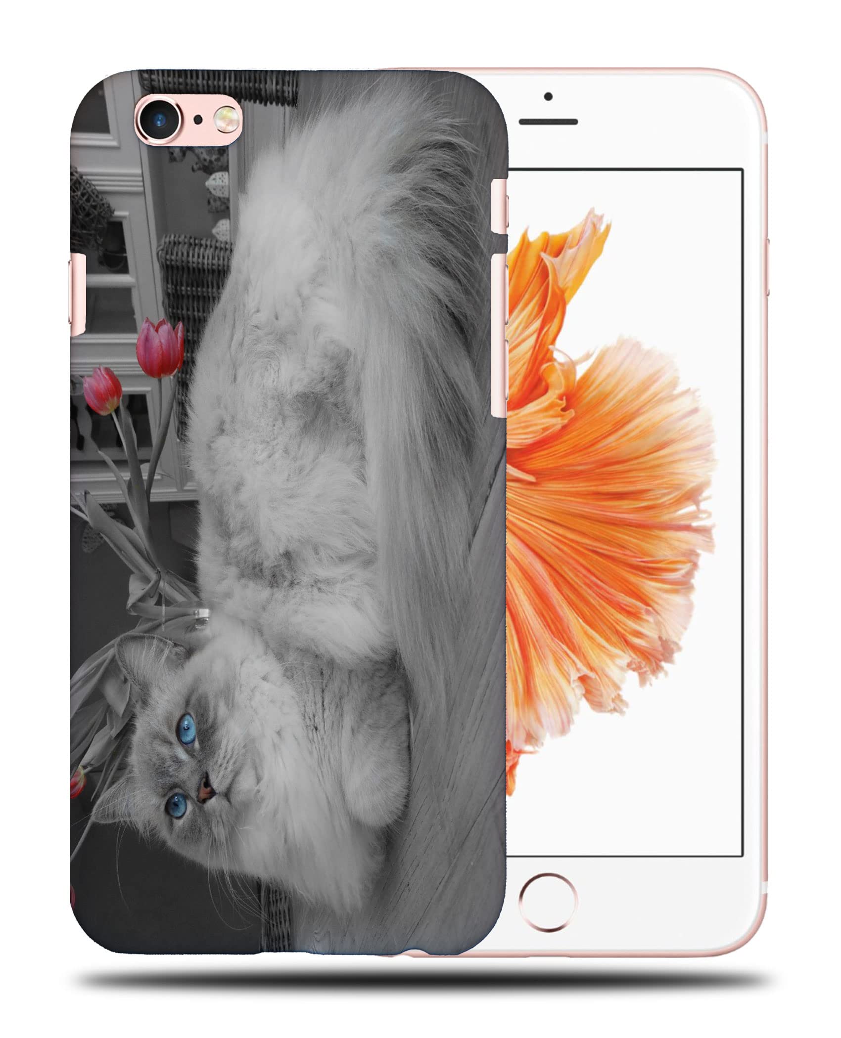 Cute Cat Kitten Feline #143 Phone Case Cover for Apple iPhone 6 & 6S - Perfect Protective Case for Cat Lovers & Pet Owners