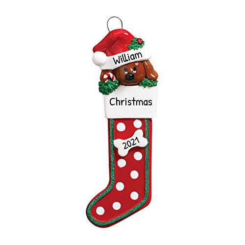 Brown Dog in Stocking