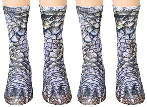 2pairs Dinosaur