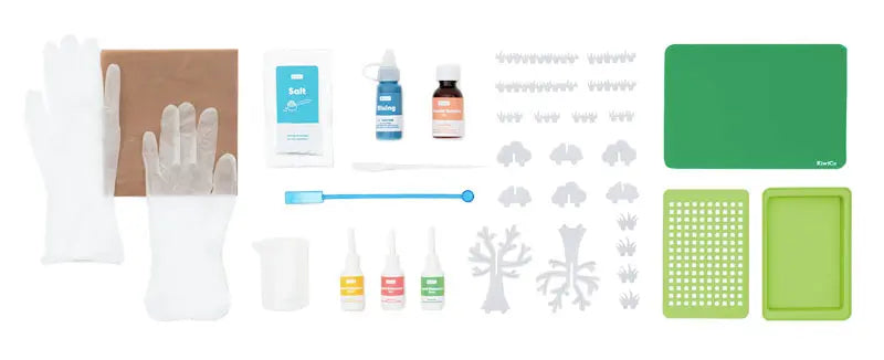 Crystal Chemistry Garden Kit - DIY Science Experiment for Kids & Adults | STEM Educational Toy for Home & Classroom Learning