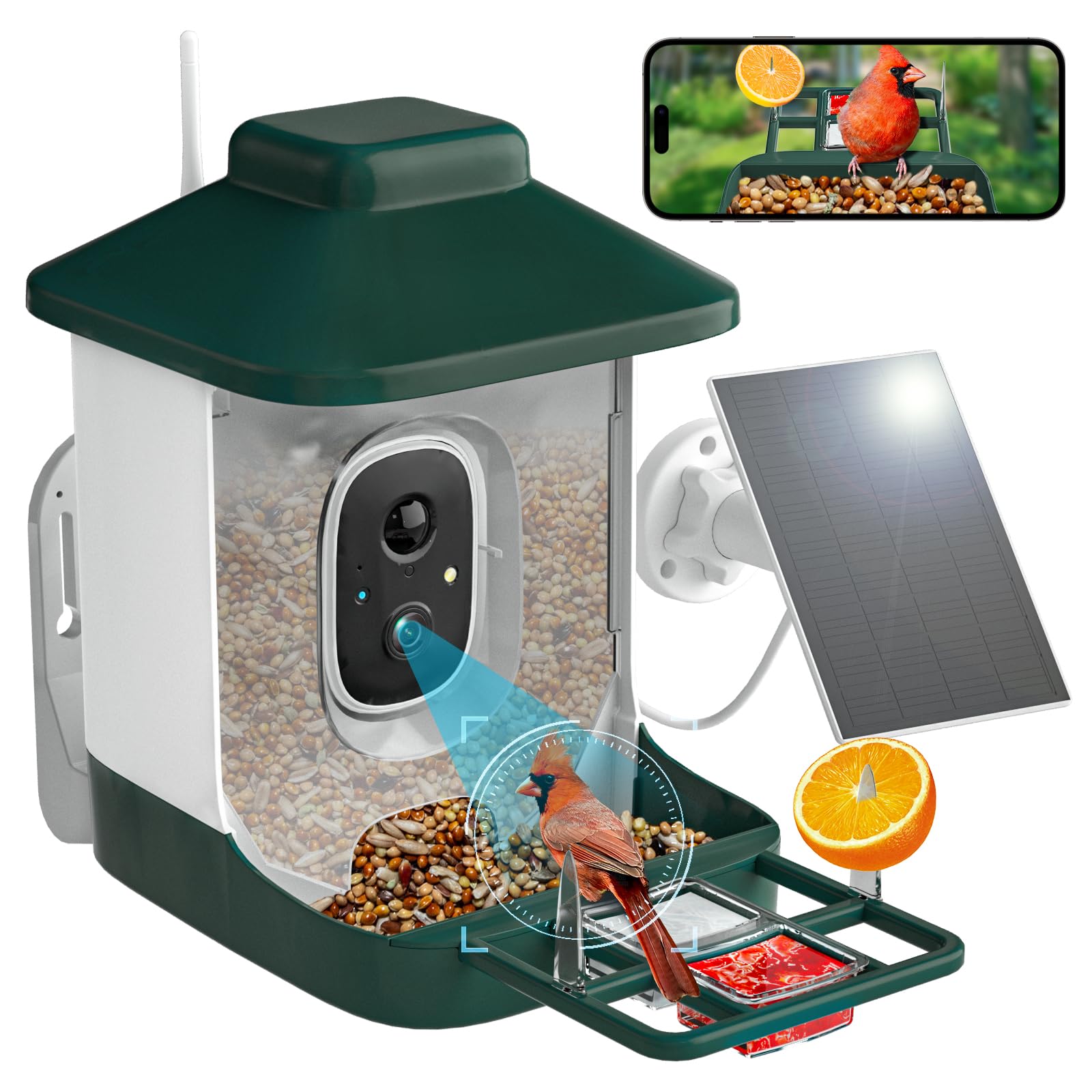 1 Year AI Smart Bird Feeder with Camera - Solar Powered 1080p Live Video, AI Bird Species Identification, 2.4Ghz WiFi & Instant Arrival Alerts - Perfect Gift for Bird Watchers & Nature Lovers - Ideal for Backyard Birdwatching, Wildlife Monitoring & Outdoor Enthusiasts